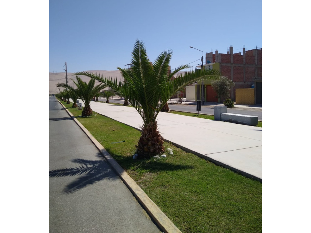 Terreno en venta en Tacna